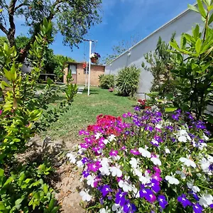 Mammaioa House Casa vacanze Riola Sardo